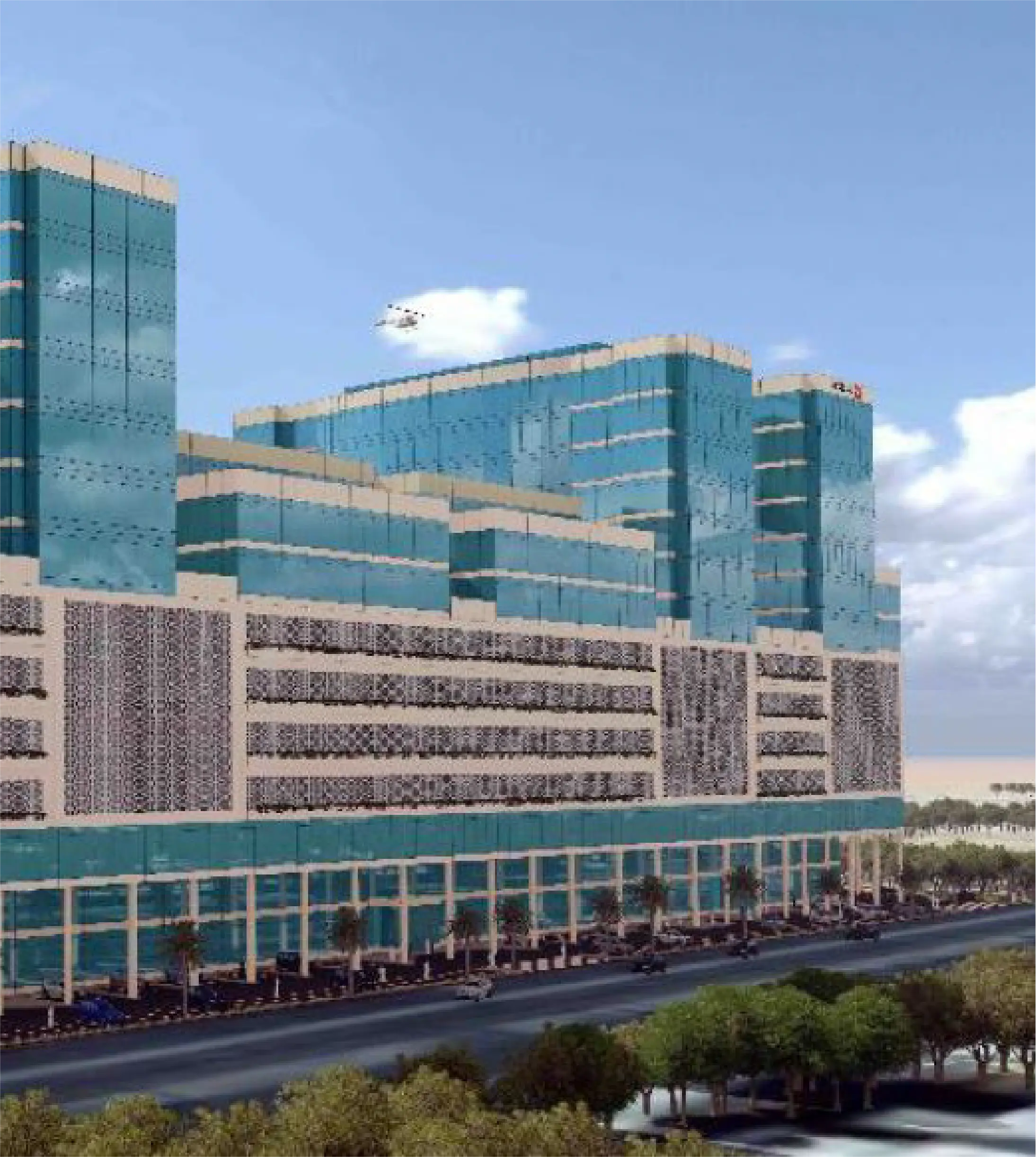 mohammadi hospital in jeddah